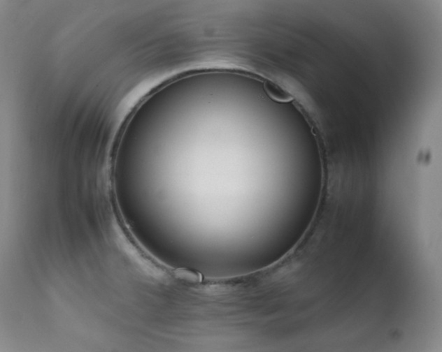 X0000112041380200908031506