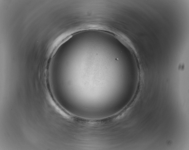X0000112041381200908031506