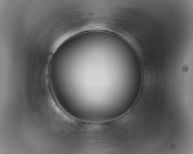 X0000112041382200908031506