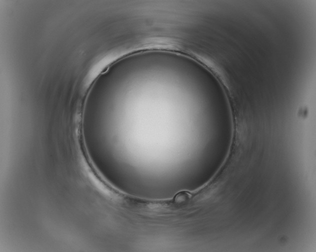 X0000112041383200908031506