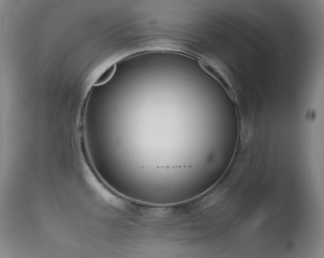 X0000112041387200908031506