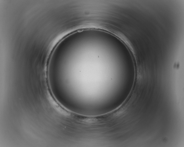 X0000112041388200908031506