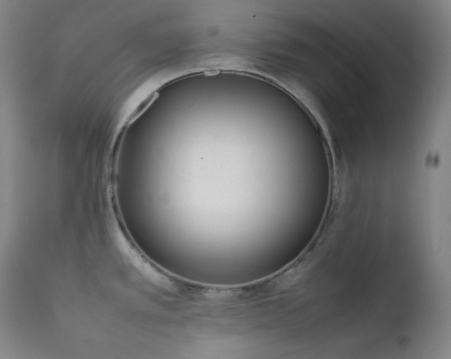 X0000112041389200908031506