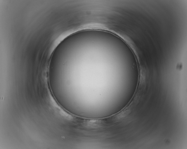 X0000112041390200908031506