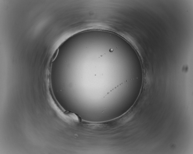 X0000112041391200908031506