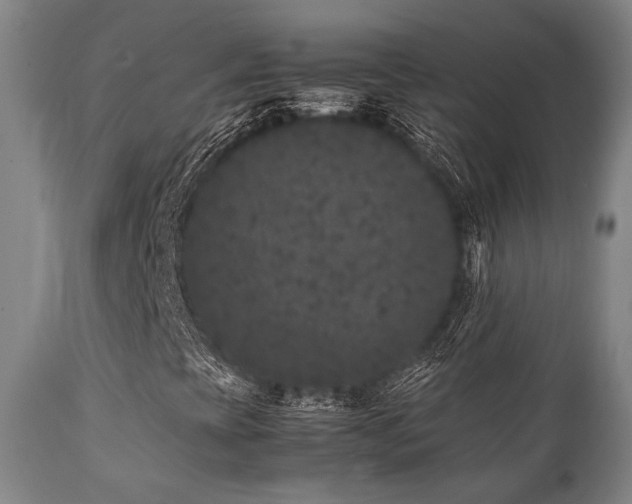 X0000112041393200908031505