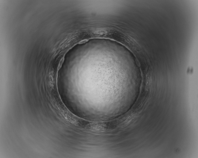 X0000112041394200908031505