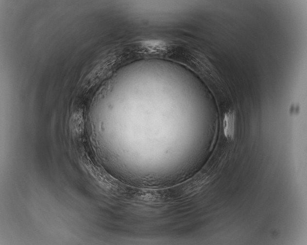 X0000112041395200908031505