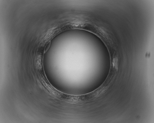 X0000112041396200908031505