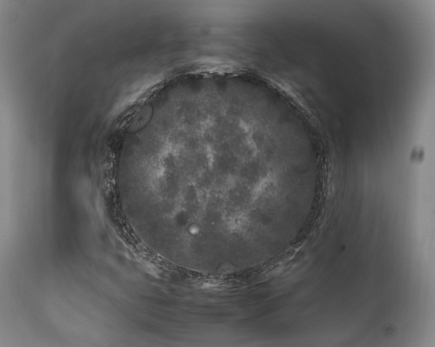 X0000112041399200908031505
