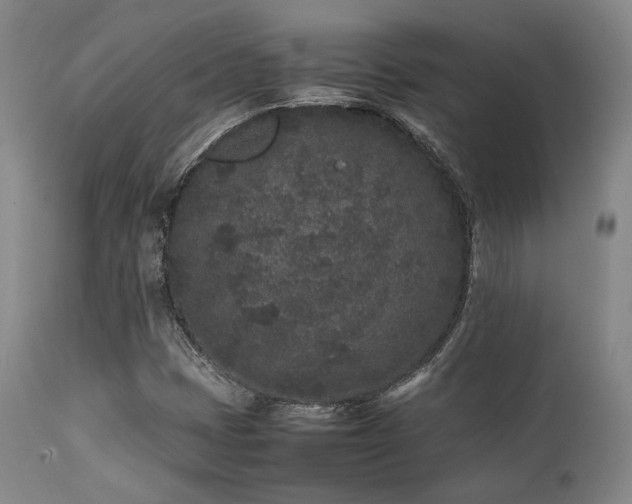 X0000112041401200908031505