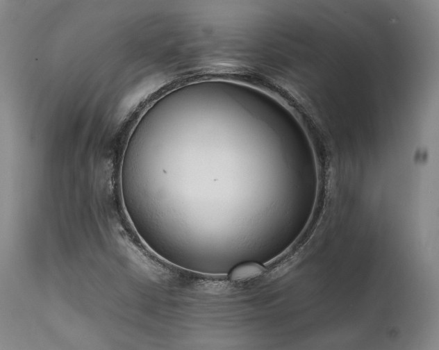 X0000112041402200908031505