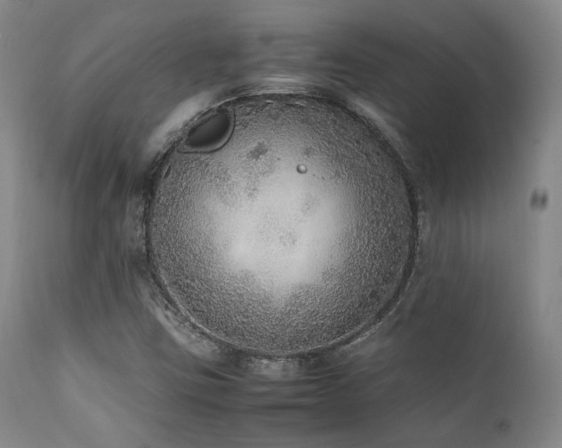 X0000112041403200908031505