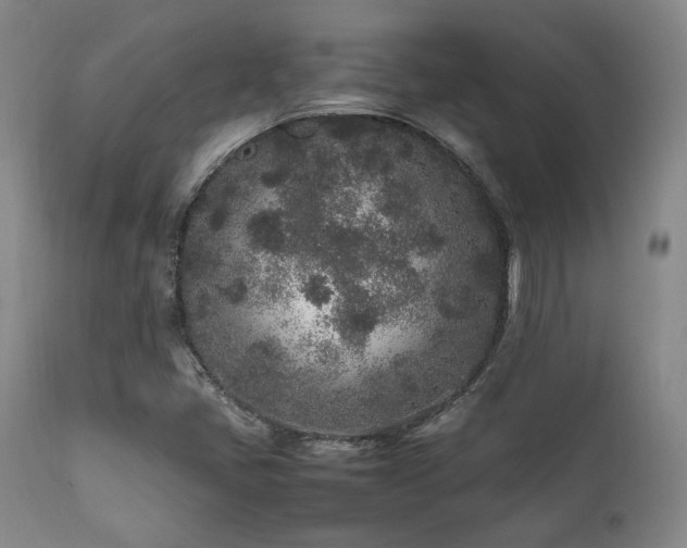 X0000112041405200908031505