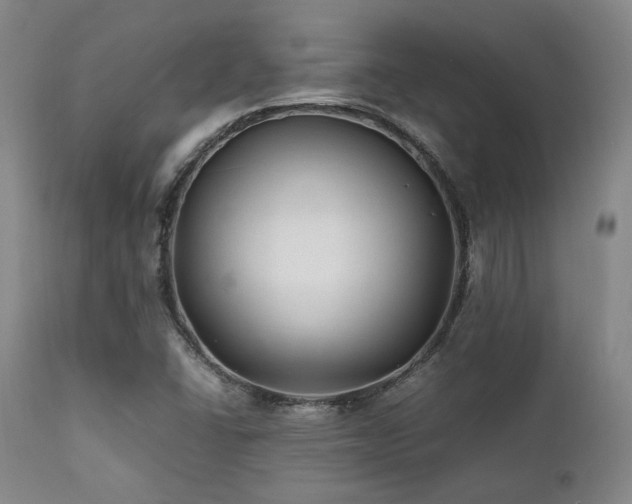 X0000112041406200908031505