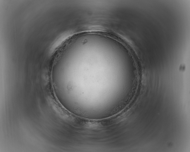 X0000112041407200908031505