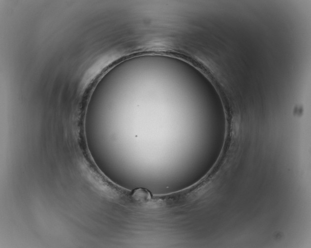 X0000112041410200908031505