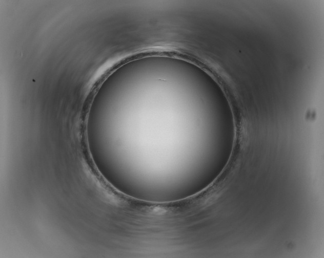 X0000112041412200908031505