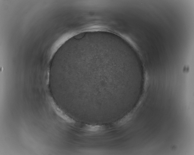 X0000112041413200908031505