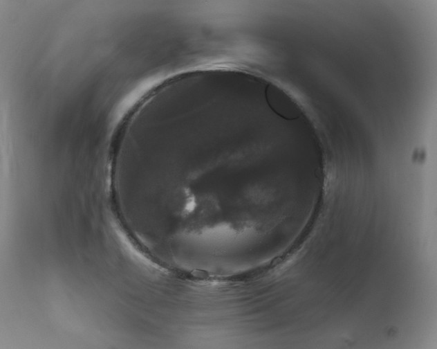 X0000112041414200908031505
