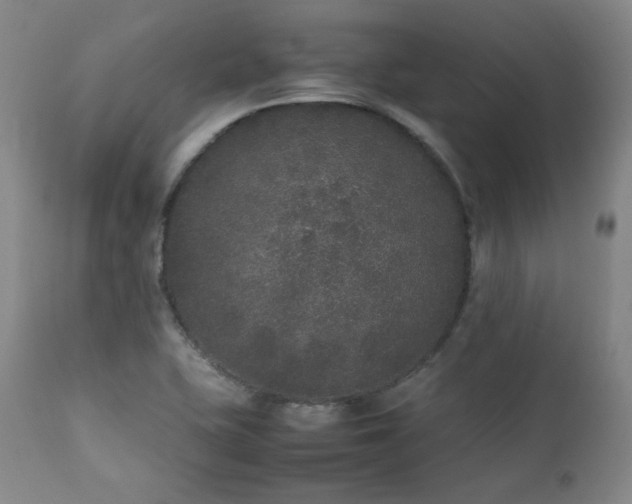 X0000112041415200908031505