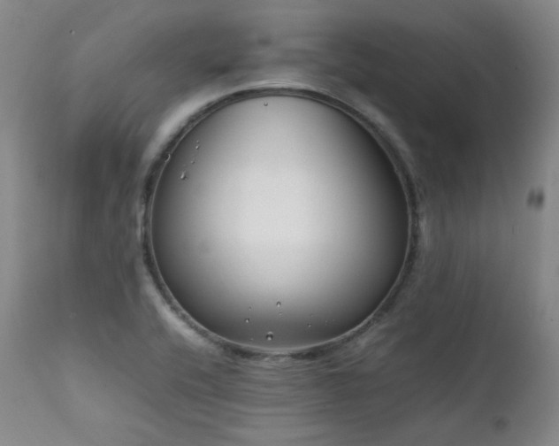 X0000112041416200908031505