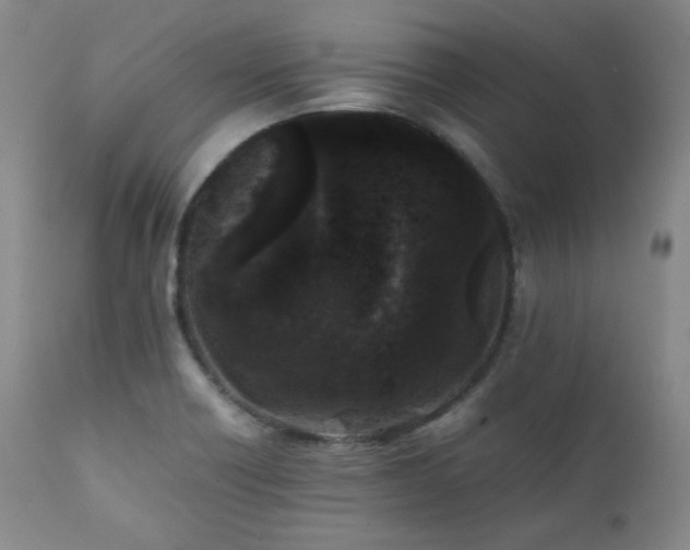 X0000112041418200908031505
