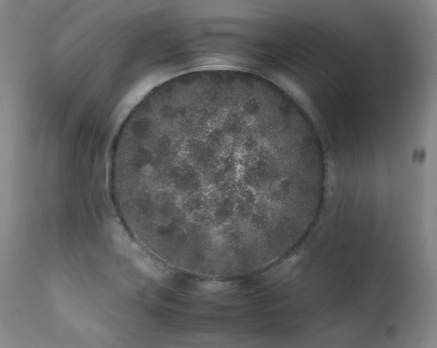 X0000112041419200908031505