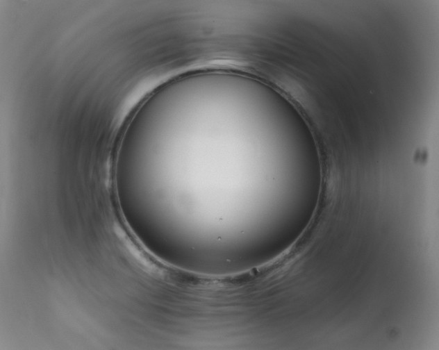 X0000112041420200908031505