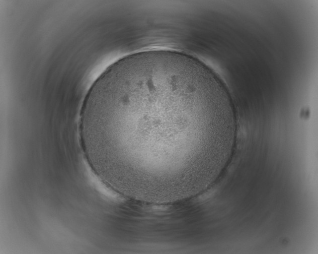 X0000112041423200908031505