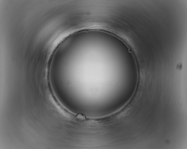 X0000112041424200908031505