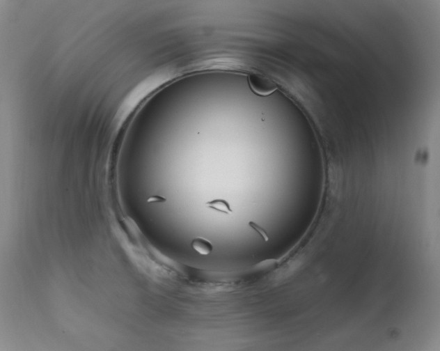 X0000112041426200908031505