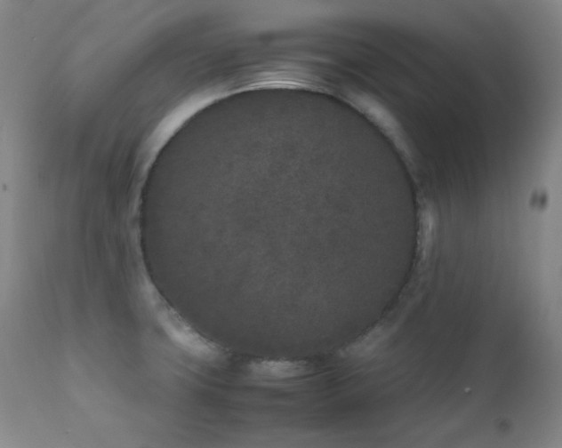 X0000112041427200908031505
