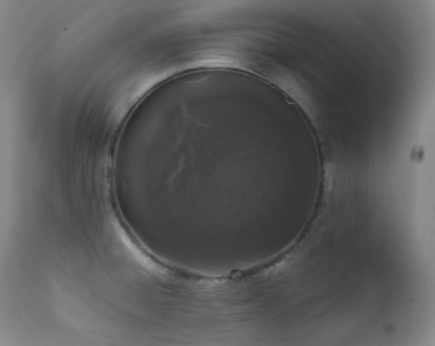 X0000112041428200908031505