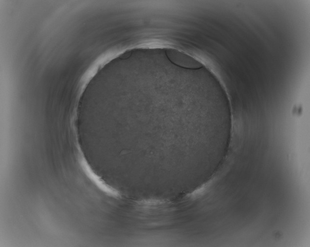 X0000112041429200908031506