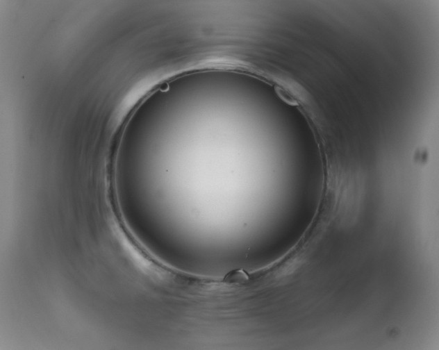 X0000112041430200908031506