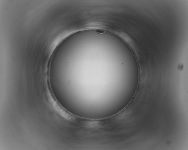 X0000112041431200908031506
