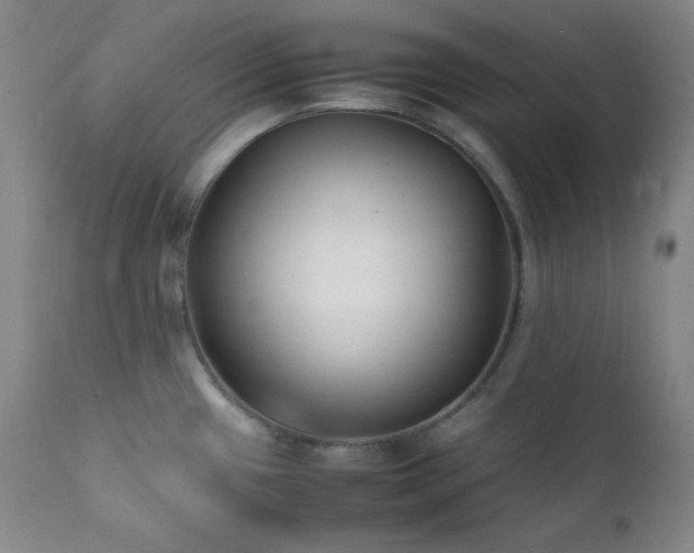 X0000112041433200908031506