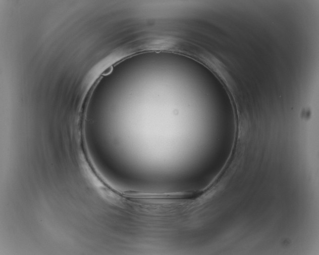 X0000112041434200908031506