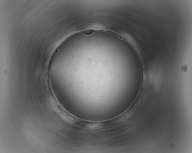 X0000112041435200908031506