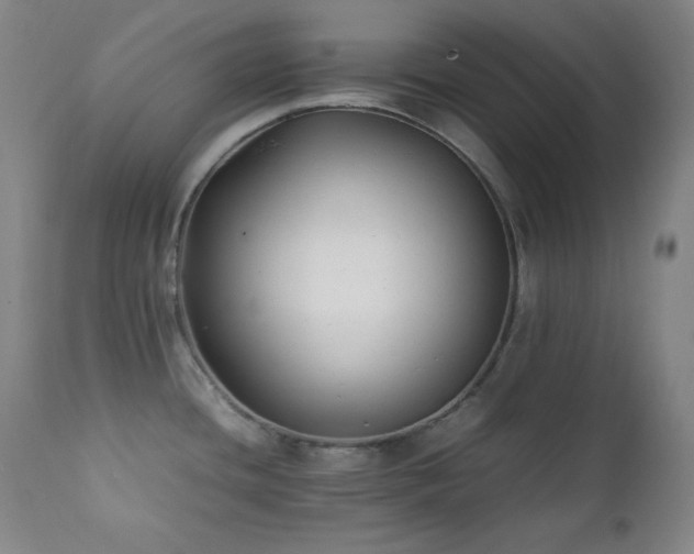 X0000112041436200908031506