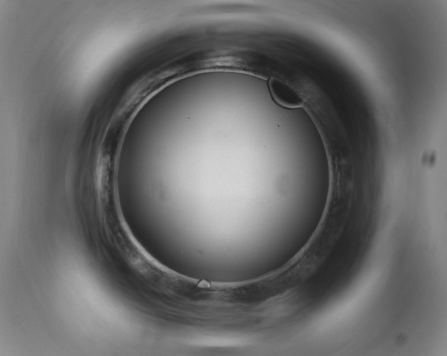 X0000112041438200908031506