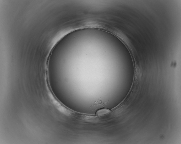 X0000112041439200908031506