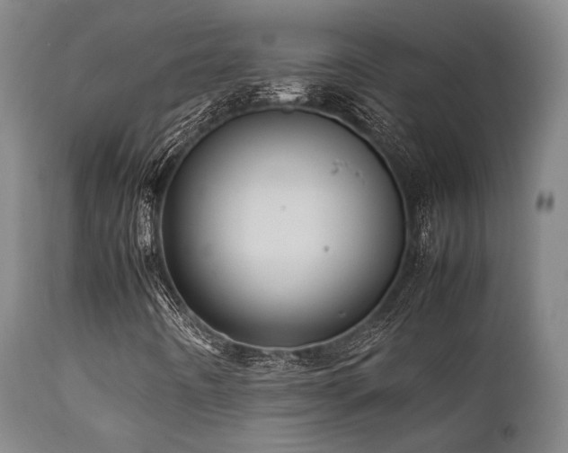X0000112041442200908031505