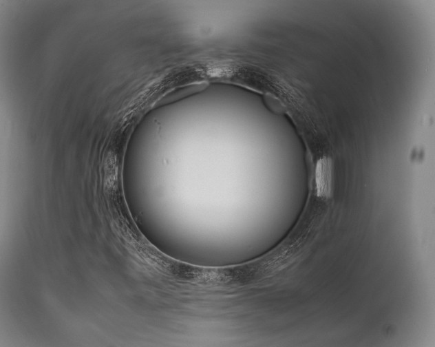 X0000112041443200908031505