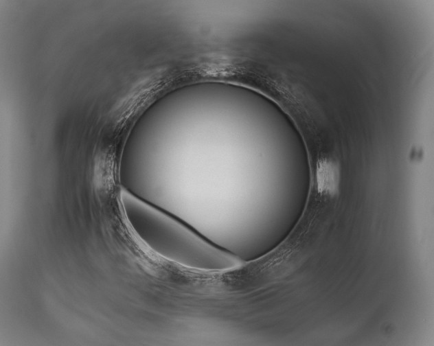 X0000112041444200908031505