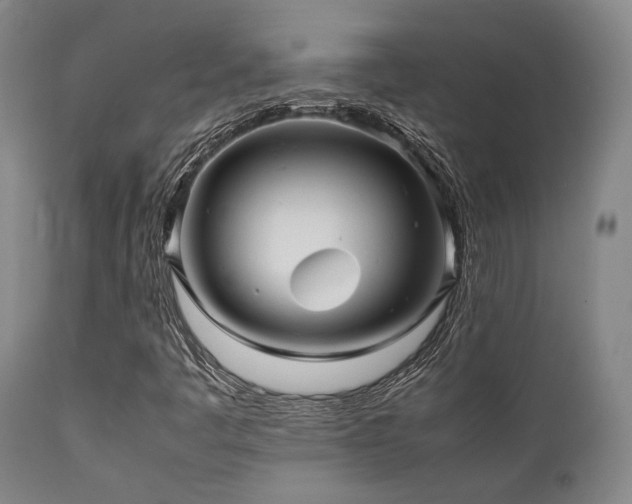 X0000112041445200908031505