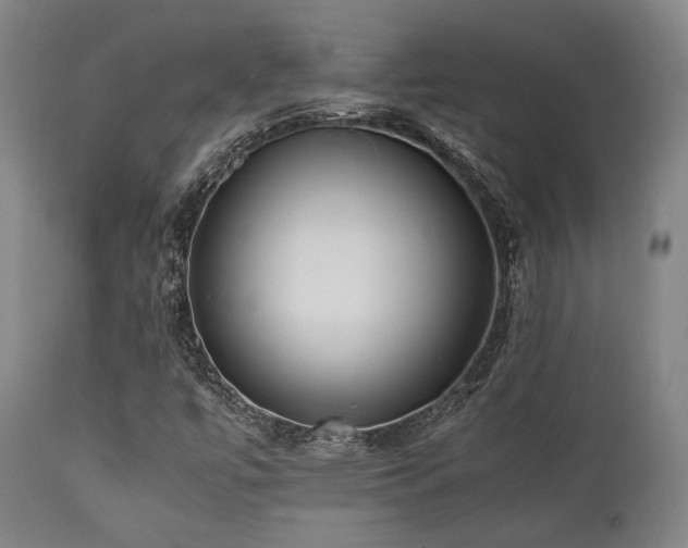X0000112041447200908031505