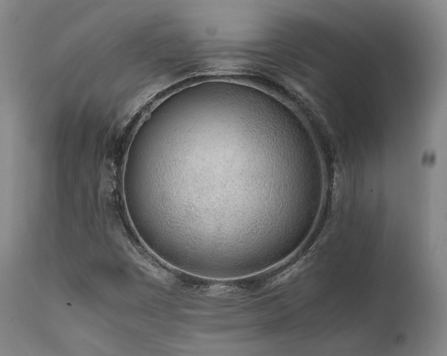 X0000112041449200908031505