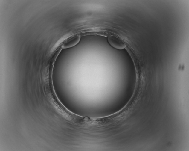 X0000112041450200908031505